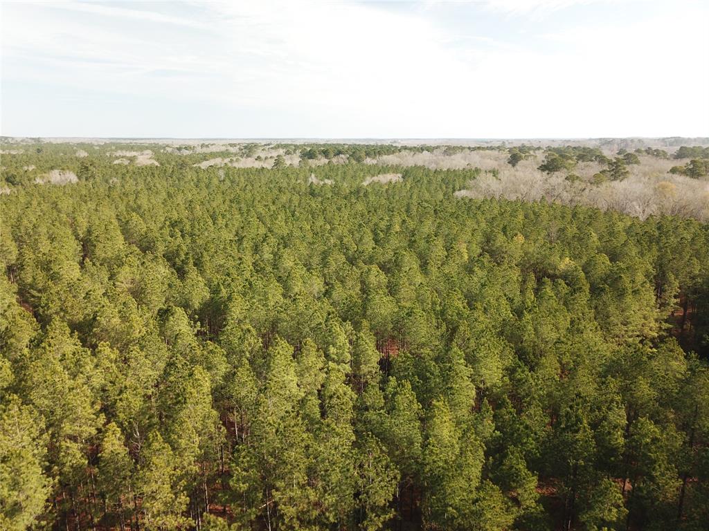 0 Countree Road Zwolle, LA 71486 - Photo 9 of 21 an aerial view of residential houses with outdoor space
