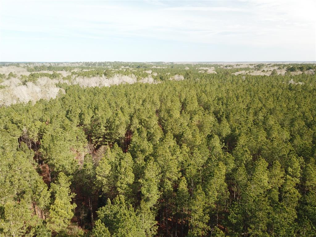 0 Countree Road Zwolle, LA 71486 - Photo 10 of 21 a view of an ocean