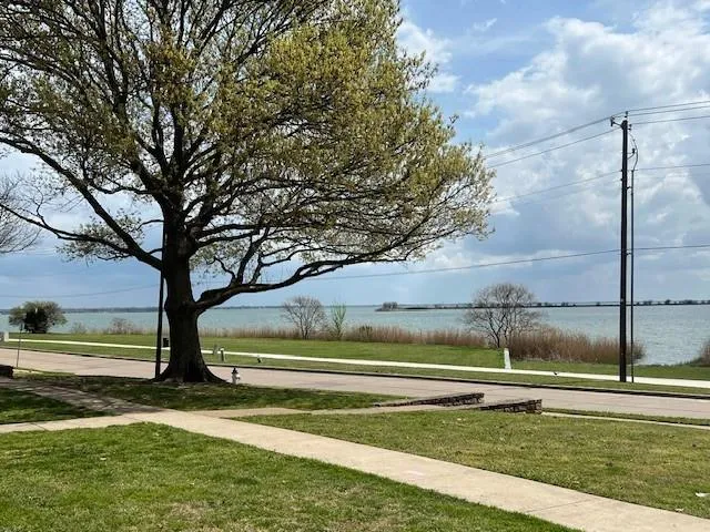 a view of backyard with large trees