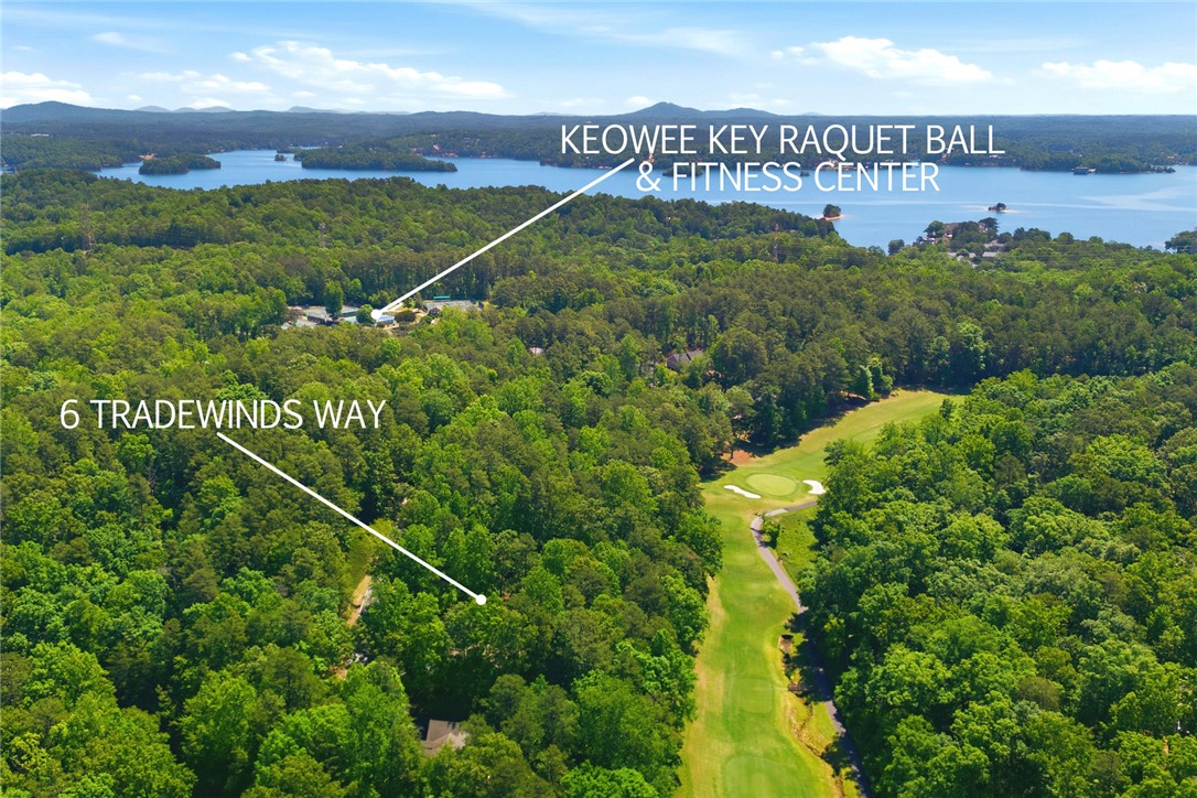 6 Tradewinds Way Salem, SC 29676 - Photo 34 of 50 An aerial view captures a vibrant landscape with a lush golf course and tranquil lake.
