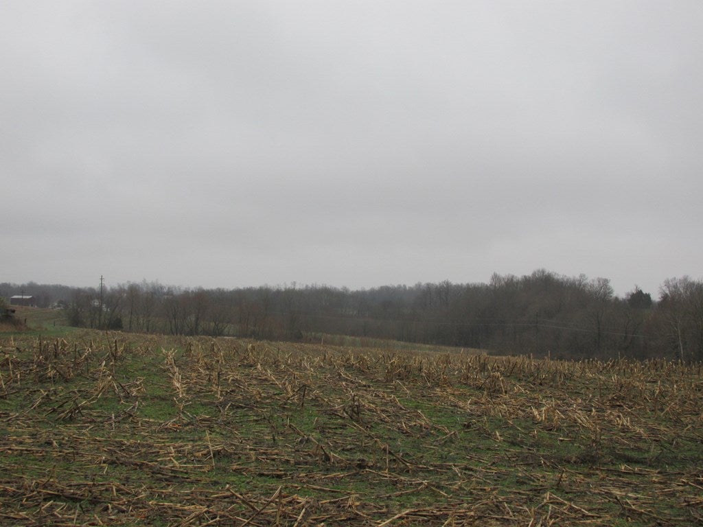 Ac Nobob Road Glasgow, KY 42141 - Photo 4 of 5 Gallery Image 4
