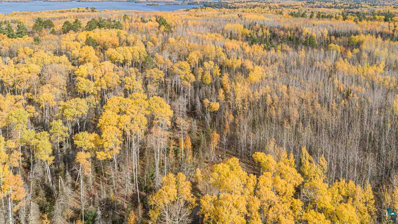 Tbd Tbd Labrec Klein Trail Ely, MN 55731 - Photo 5 of 48