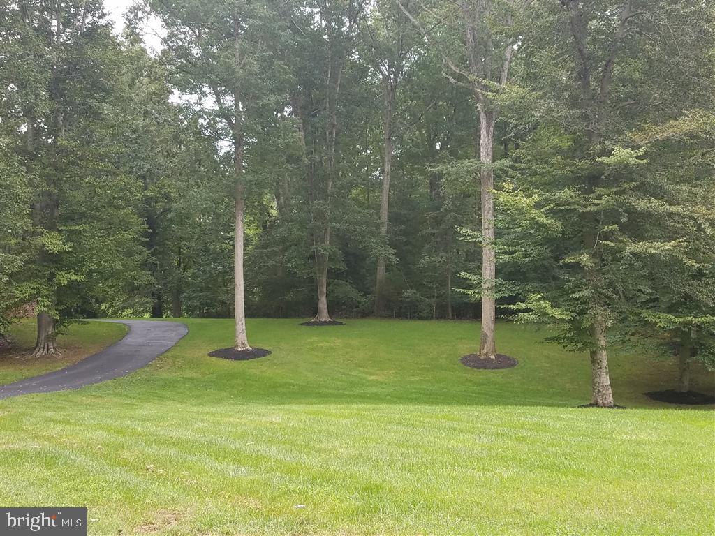 9779 Trinity Church Road Charlotte Hall, MD 20622 - Photo 13 of 16 Gallery Image 13