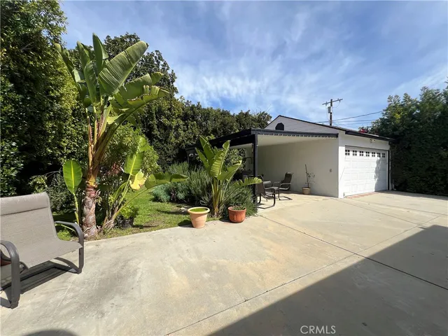 a close up of a plant in a garden