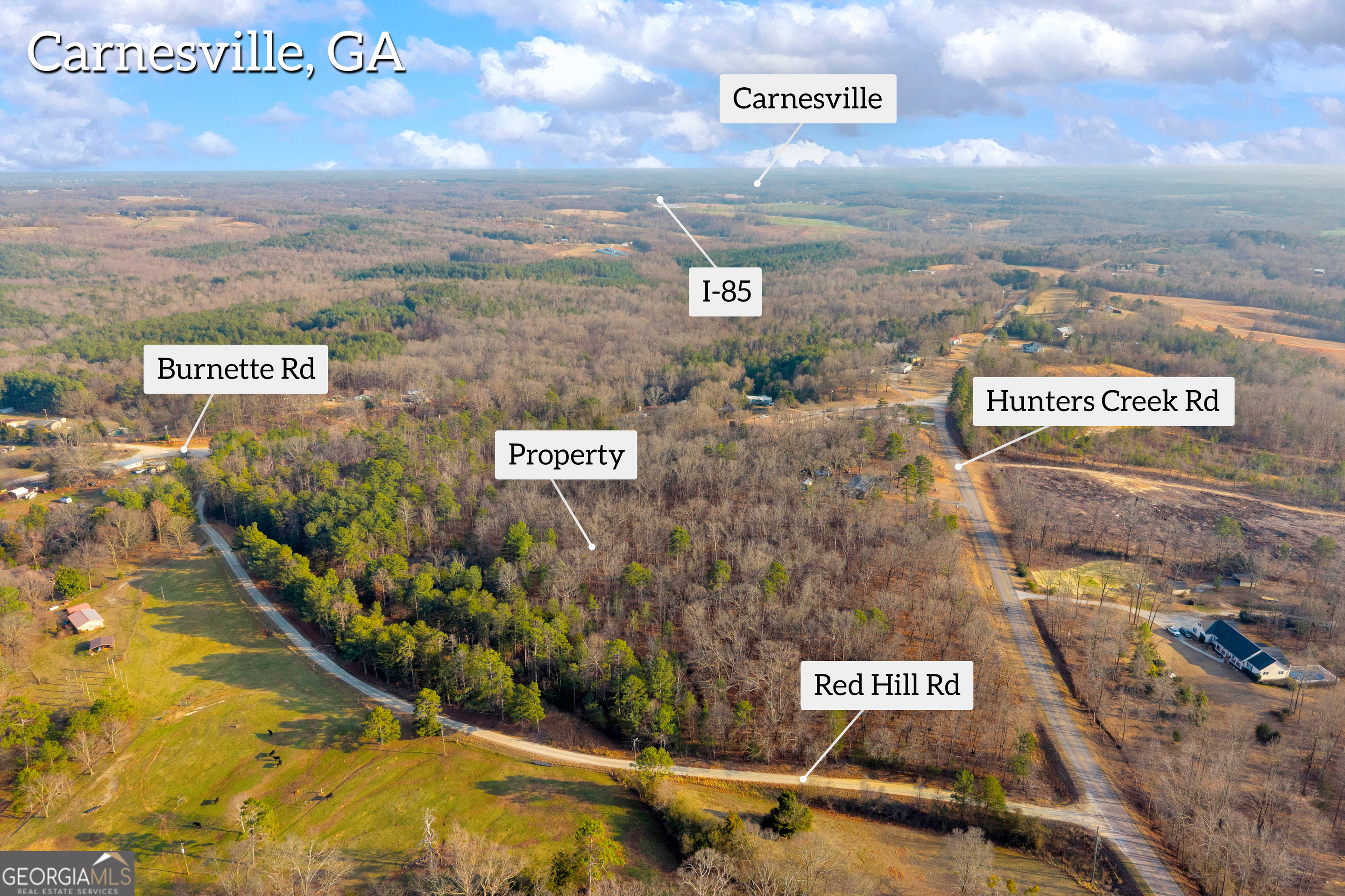 2122 Hunters Creek Road Carnesville, GA 30521 - Photo 11 of 24