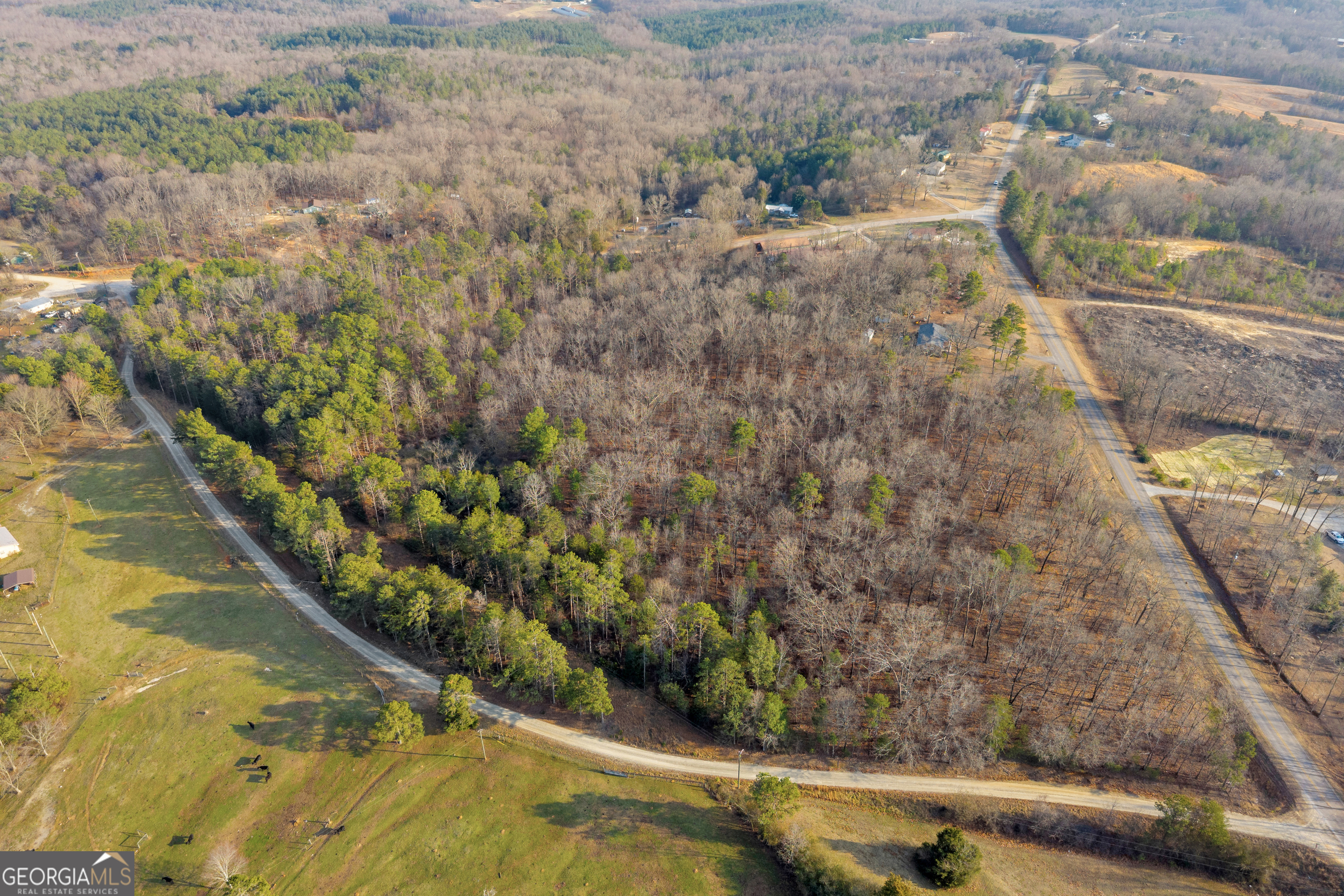 2122 Hunters Creek Road Carnesville, GA 30521 - Photo 16 of 24