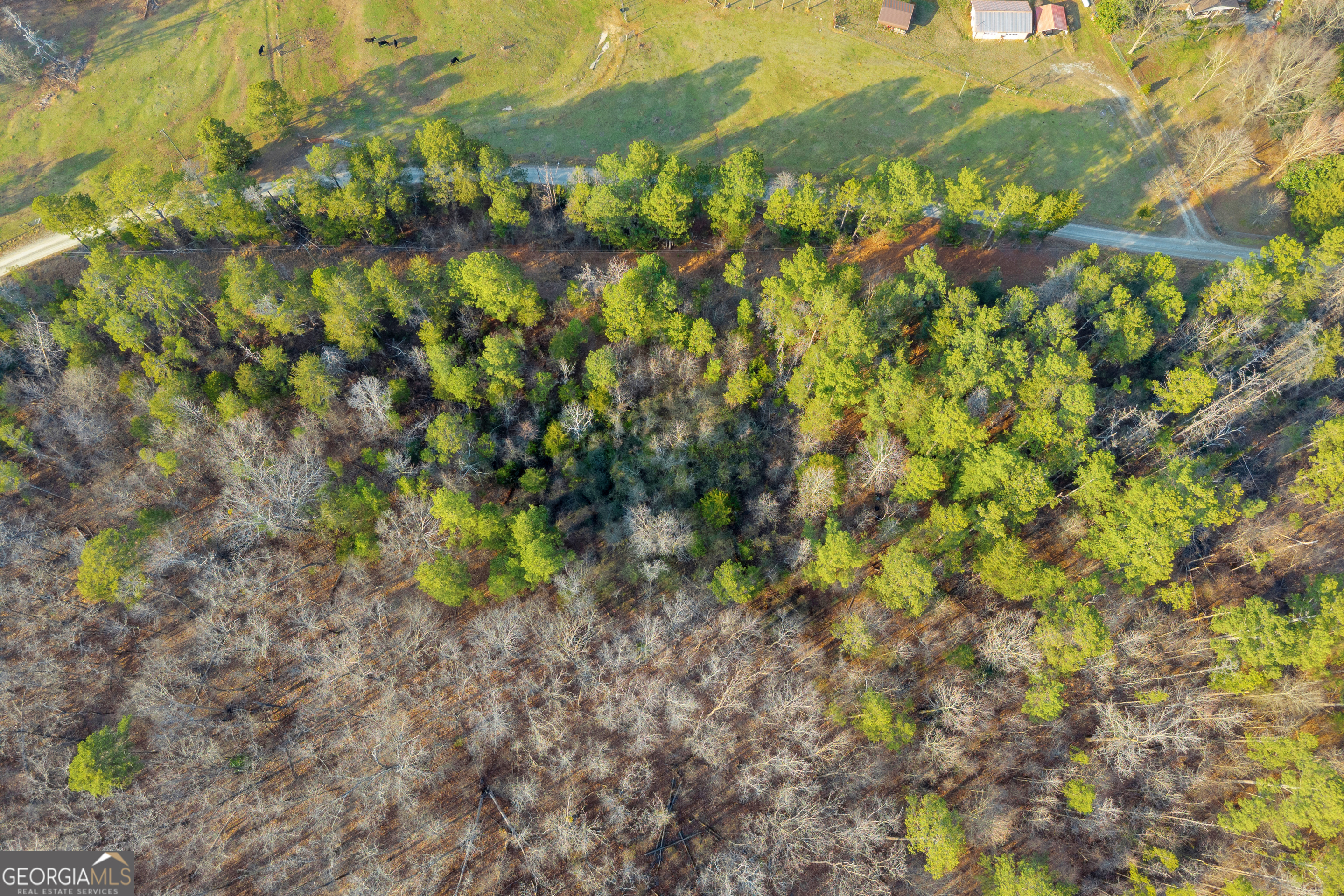 2122 Hunters Creek Road Carnesville, GA 30521 - Photo 22 of 24