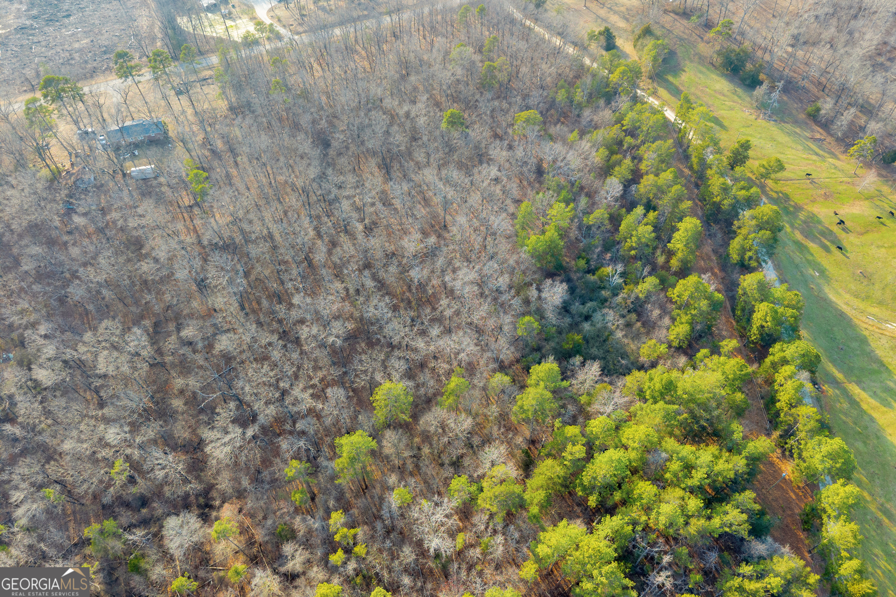 2122 Hunters Creek Road Carnesville, GA 30521 - Photo 24 of 24