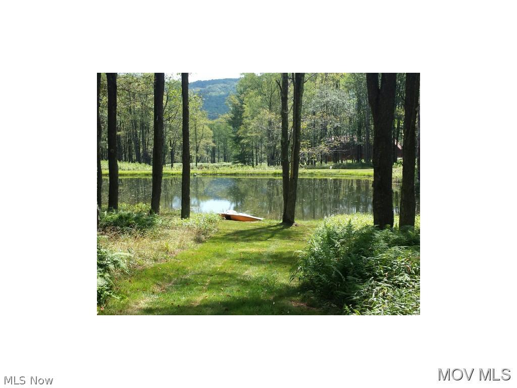 579 Lakeview Road Davis, WV 26260 - Photo 2 of 19 Golden Pond fr Front Deck