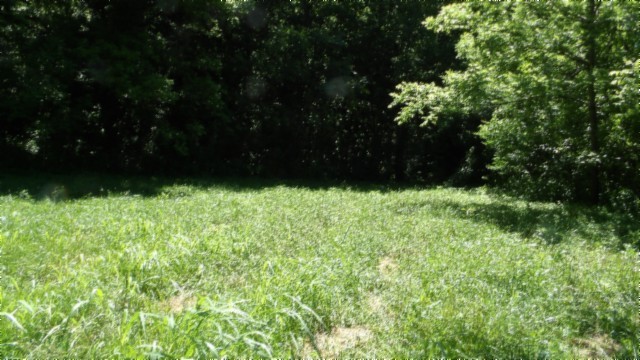 5155 Brimstone Creek Road Moss, TN 38575 - Photo 14 of 80