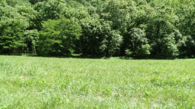 5155 Brimstone Creek Road Moss, TN 38575 - Photo 15 of 80