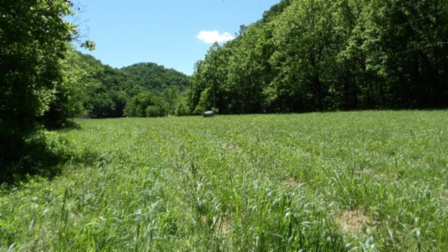 5155 Brimstone Creek Road Moss, TN 38575 - Photo 17 of 80