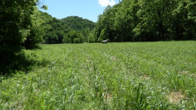 5155 Brimstone Creek Road Moss, TN 38575 - Photo 19 of 80