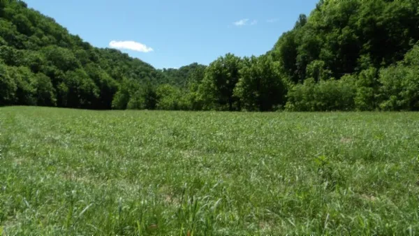 a backyard of a house with lots of green space and garden