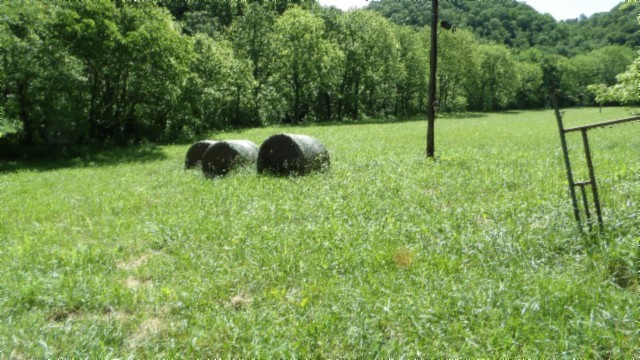 5155 Brimstone Creek Road Moss, TN 38575 - Photo 23 of 80