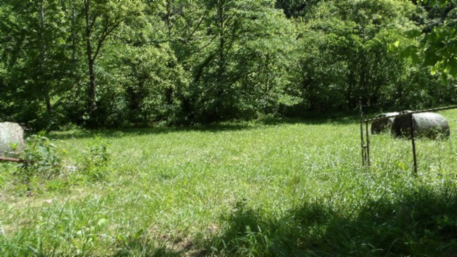 5155 Brimstone Creek Road Moss, TN 38575 - Photo 24 of 80