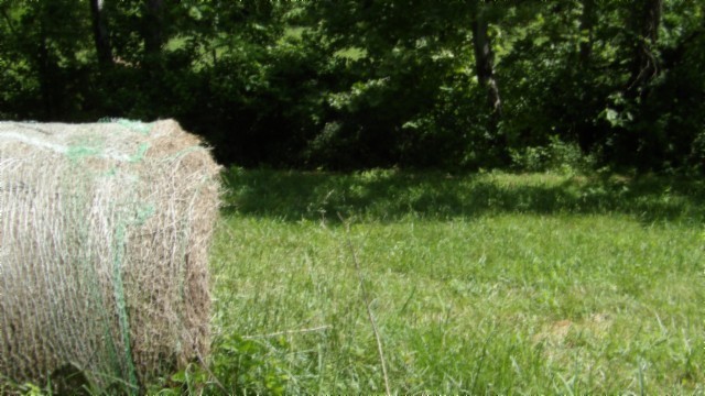 5155 Brimstone Creek Road Moss, TN 38575 - Photo 26 of 80