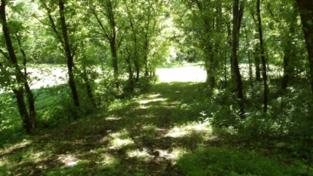 5155 Brimstone Creek Road Moss, TN 38575 - Photo 27 of 80