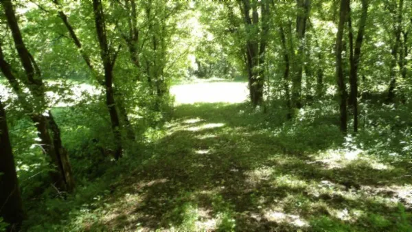 a view of green field with trees in the background