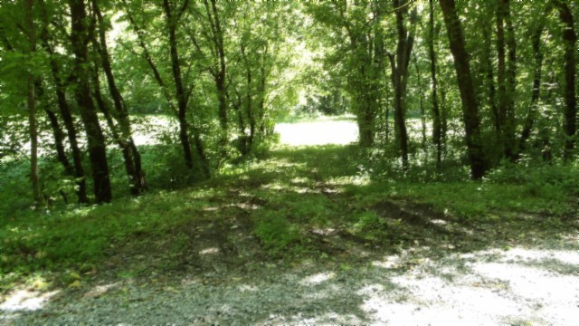 5155 Brimstone Creek Road Moss, TN 38575 - Photo 29 of 80