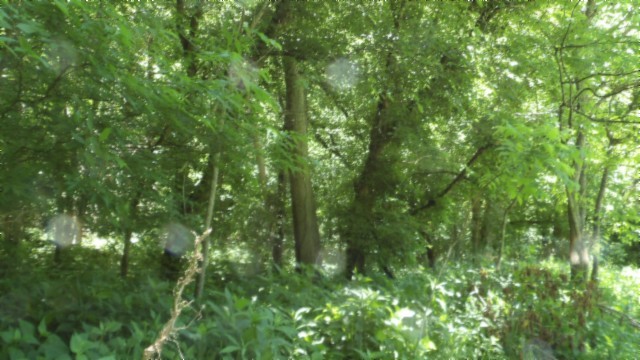 5155 Brimstone Creek Road Moss, TN 38575 - Photo 37 of 80