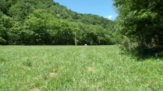 5155 Brimstone Creek Road Moss, TN 38575 - Photo 38 of 80