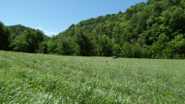 5155 Brimstone Creek Road Moss, TN 38575 - Photo 41 of 80