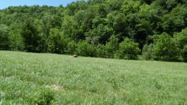 a view of lake with green space