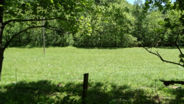 5155 Brimstone Creek Road Moss, TN 38575 - Photo 43 of 80