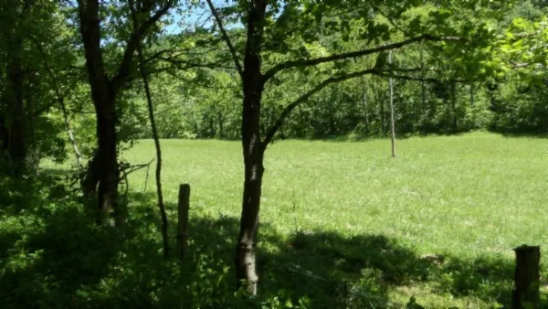 a view of outdoor space