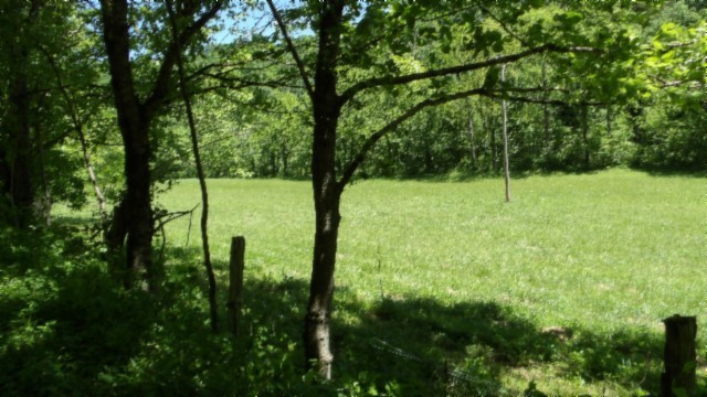 5155 Brimstone Creek Road Moss, TN 38575 - Photo 44 of 80