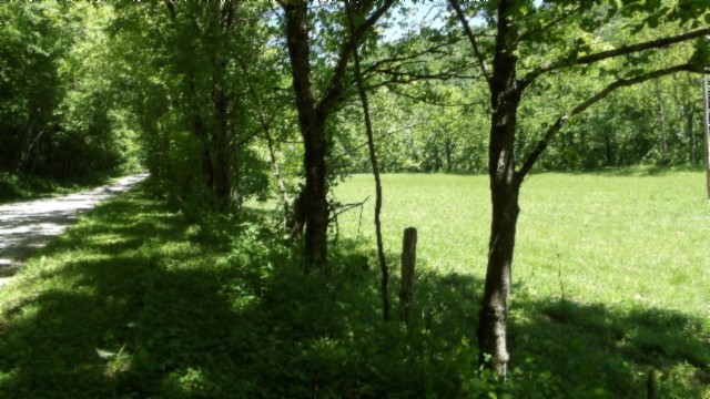 5155 Brimstone Creek Road Moss, TN 38575 - Photo 46 of 80