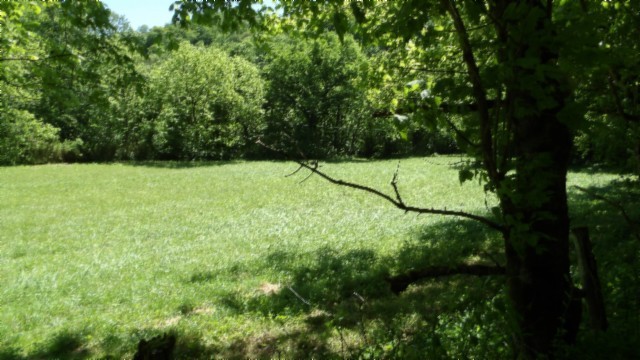 5155 Brimstone Creek Road Moss, TN 38575 - Photo 47 of 80