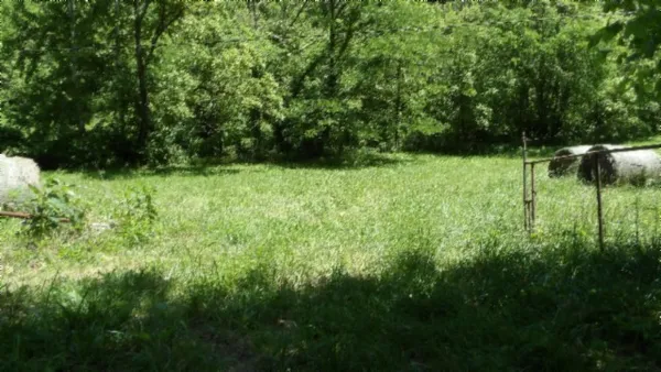 a view of outdoor space and trees