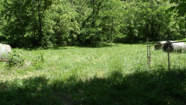 5155 Brimstone Creek Road Moss, TN 38575 - Photo 48 of 80