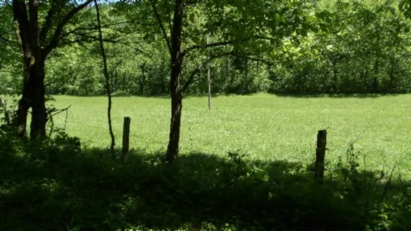 a sign that is sitting in front of a tree