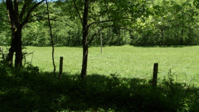 5155 Brimstone Creek Road Moss, TN 38575 - Photo 49 of 80