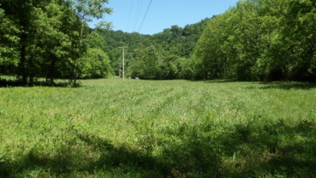 5155 Brimstone Creek Road Moss, TN 38575 - Photo 5 of 80