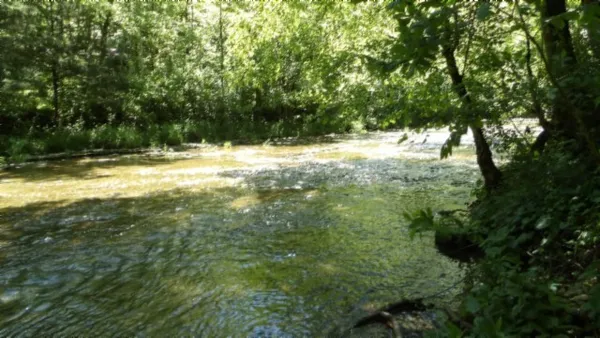 $699,000 | 5155 Brimstone Creek Road, Moss, TN 38575