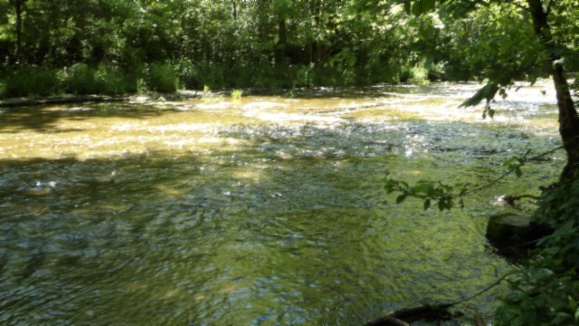 5155 Brimstone Creek Road Moss, TN 38575 - Photo 56 of 80