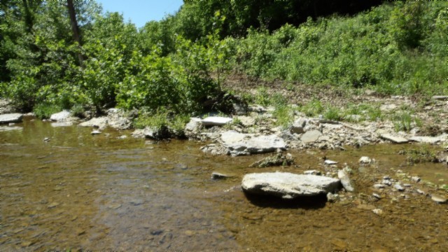5155 Brimstone Creek Road Moss, TN 38575 - Photo 57 of 80