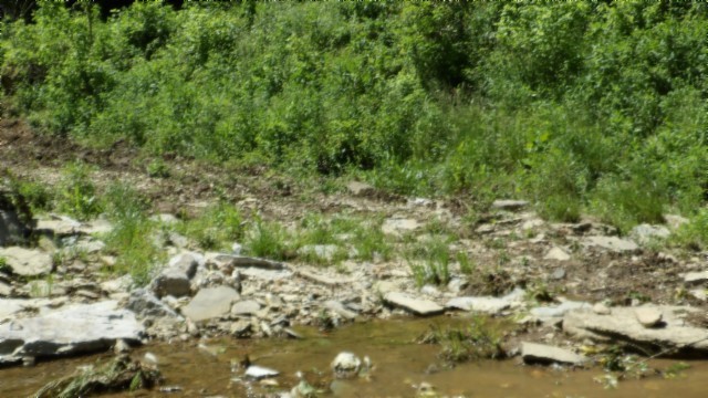 5155 Brimstone Creek Road Moss, TN 38575 - Photo 58 of 80