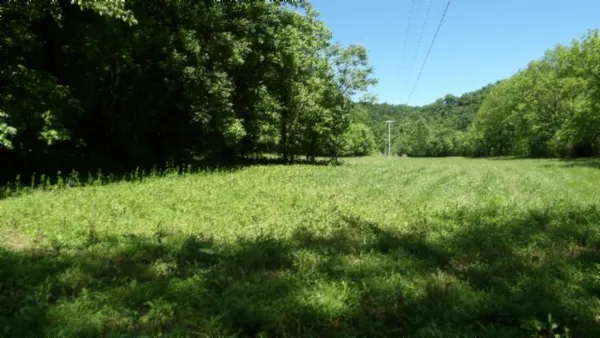 a view of outdoor space and yard