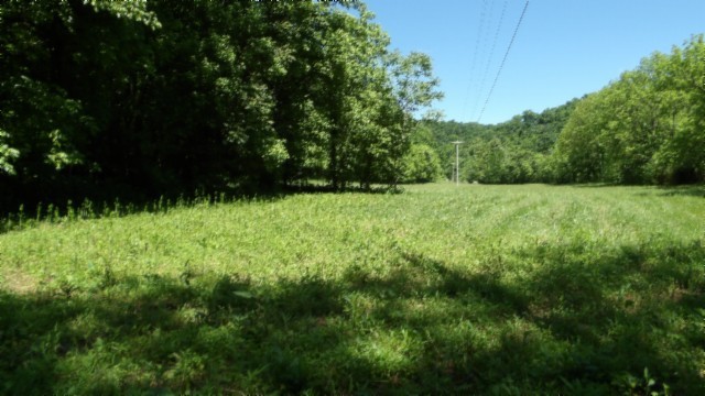 5155 Brimstone Creek Road Moss, TN 38575 - Photo 6 of 80