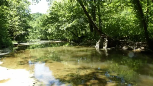 $699,000 | 5155 Brimstone Creek Road, Moss, TN 38575