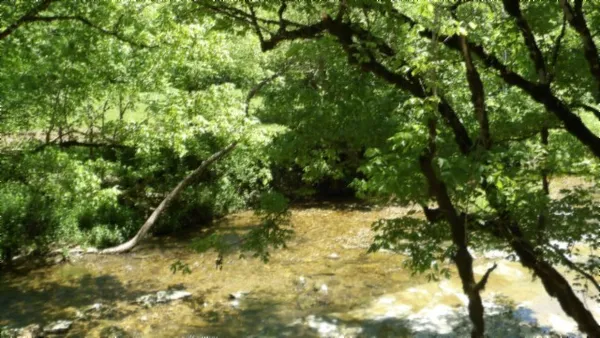 $699,000 | 5155 Brimstone Creek Road, Moss, TN 38575