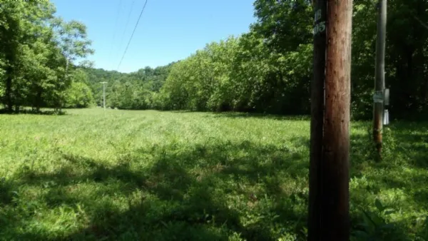 a view of patio and yard