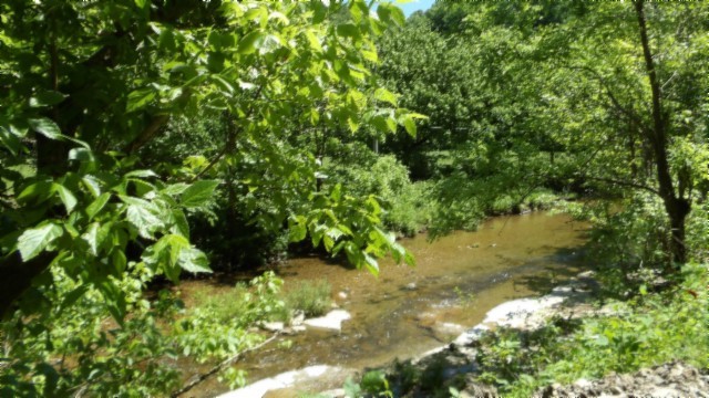 5155 Brimstone Creek Road Moss, TN 38575 - Photo 74 of 80