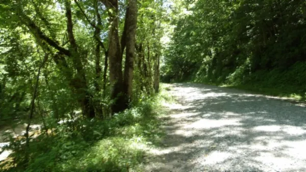 $699,000 | 5155 Brimstone Creek Road, Moss, TN 38575