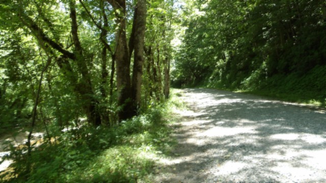 5155 Brimstone Creek Road Moss, TN 38575 - Photo 76 of 80